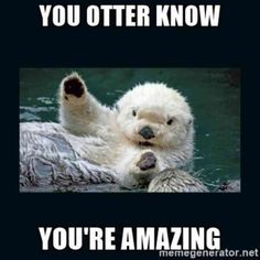 a polar bear swimming in the water with caption that reads, you otter know you're amazing