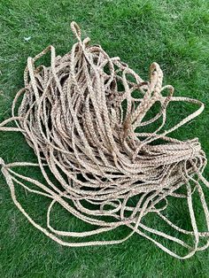 a pile of rope sitting on top of a lush green field