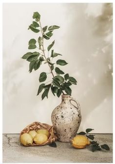 a white vase with green leaves and lemons on the ground next to it is a plant