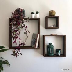 two wooden shelves with plants and books on them