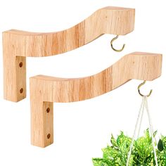 two wooden hooks hang from the side of a potted plant