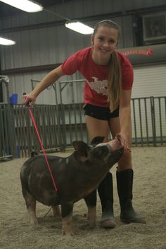 a woman in red shirt and black shorts petting a small pig on a leash