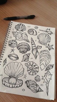 a drawing of seashells on a piece of paper next to a marker pen