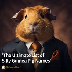 a guinea pig wearing a suit and tie with the caption'the ultimate list of silly guinea pig names '