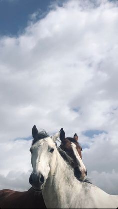 two horses standing next to each other on a cloudy day with blue sky in the background