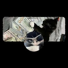 a black and white cat wearing sunglasses on top of money