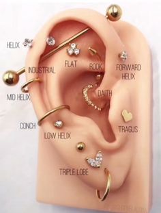 an ear with different types of piercings on it and the caption says,