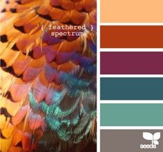 the color scheme is orange, blue, and green with an image of a bird's feathers