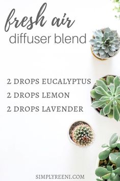 Hippie Juice, Eo Blends, Air Diffuser, Young Living Essential Oils Recipes, Healthy Hormones