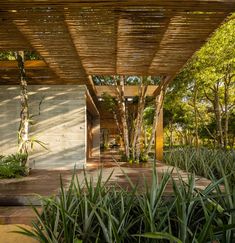 an outdoor covered area with plants and trees