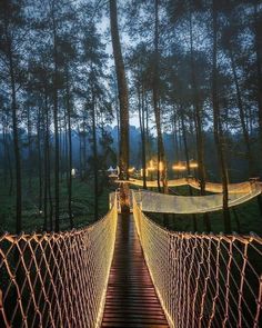 a suspension bridge with lights on it in the woods