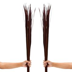 two hands are holding long brown sticks