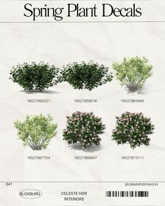 a bunch of plants that are on top of each other in different sizes and colors