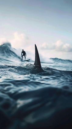 a man riding a surfboard on top of a wave in the ocean with a shark fin