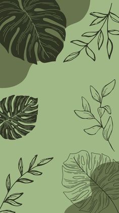 green and black leaves on a light green background