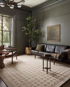 a living room filled with furniture and a potted plant on top of a table