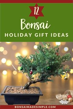 bonsai holiday gift ideas with text overlay