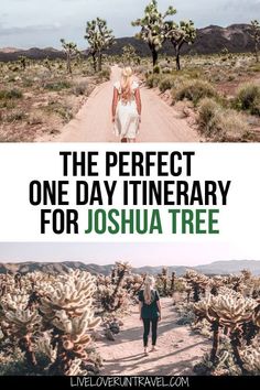 the perfect one day itinerary for joshua tree