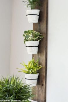 three potted plants are hanging on a wooden wall mounted planter, along with other indoor plants