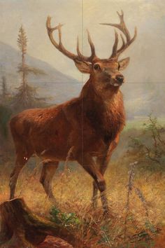 a painting of a deer with antlers on it's back