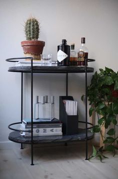 a shelf with books and bottles on it next to a potted cacti