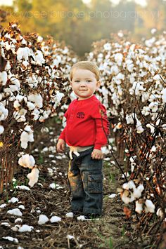 a little boy standing in a field of cotton