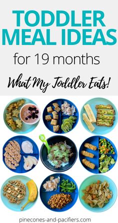 toddler meal ideas for 9 months what my toddler eats