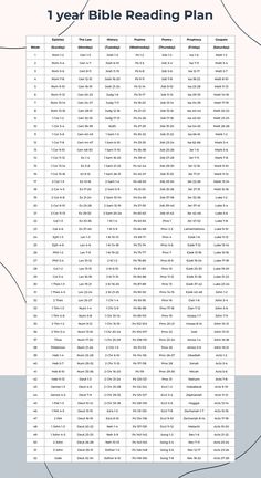 the year bible reading plan is shown