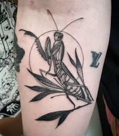 a black and white photo of a praying mantissa tattoo on the left arm