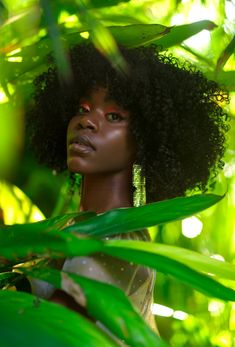 a woman with an afro is standing among green leaves