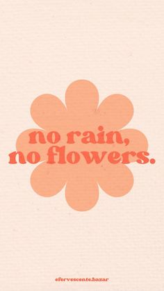 an orange flower with the words no rain, no flowers