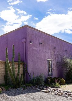 The homes of Barrio Viejo are alive with color.  Take your pick: pink, pear green, yellow like gold or fuscia pink.  They make for a happy neighborhood. Santa Fe Landscape, Tucson Arizona Architecture, Mexico Houses, Tucson Photography Locations, Canyon Road Santa Fe, Santa Fe New Mexico Landscape, Albuquerque Old Town, Purple Santa, Cafe And Bakery