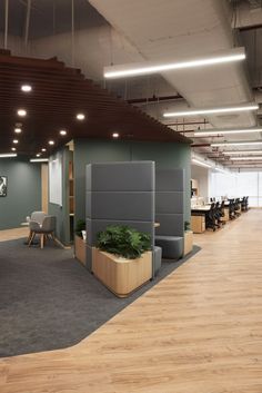 an office with wood flooring and green walls, plants in the middle of the cubicle