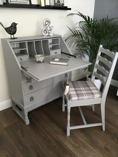 a desk with a chair next to it and a potted plant in the corner