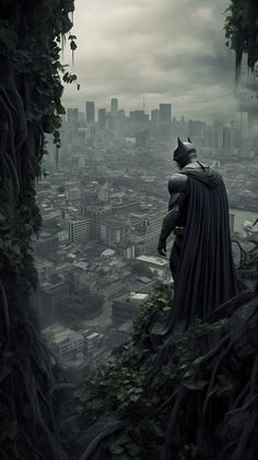 a batman standing on top of a tree covered hill