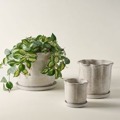 two planters sitting next to each other on top of a white table with green plants in them