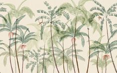 a wallpaper with palm trees and birds on it