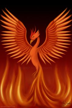 an image of a fire bird with flames in the air on it's wings