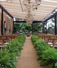 an outdoor dining area with lots of tables and chairs, surrounded by tall green plants