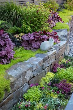 a garden with flowers and rocks in it