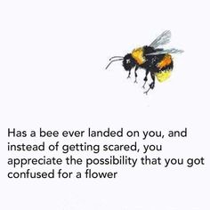 a bee flying through the air with a quote below it that reads, has a bee ever landed on you, and instead of getting scared, you appreciate