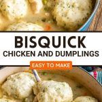 the cover of bisqueck chicken and dumplings