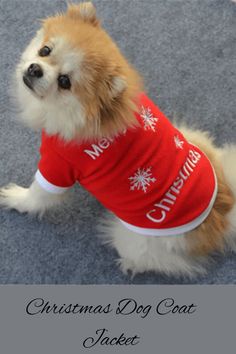 a small dog wearing a red shirt with snowflakes on it's chest