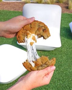 someone is eating an ice cream filled cookie on the grass with their hand holding it