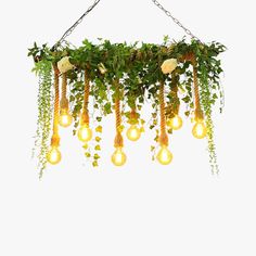 a bunch of lights that are hanging from a chain with plants growing on top of them