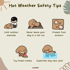 an info sheet describing how to use hot weather safety tips for dogs, cats and other pets