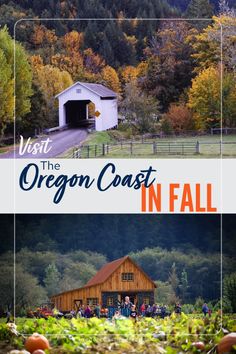 the oregon coast in fall with text overlay