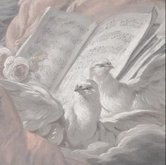 two white doves are sitting next to an open book on a pink blanket with roses