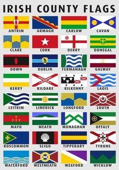 the flags of different countries are shown in this graphic art print, which depicts their country's flag colors