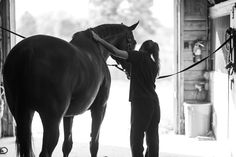 a woman standing next to a brown horse